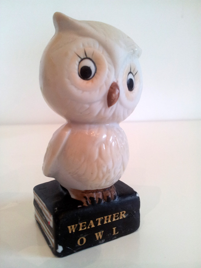 Weather Owl