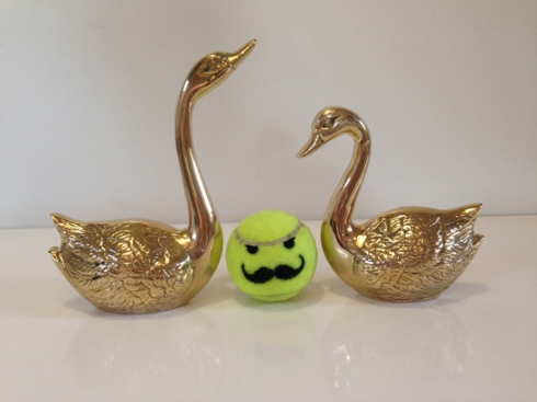 Brass Swan Pair